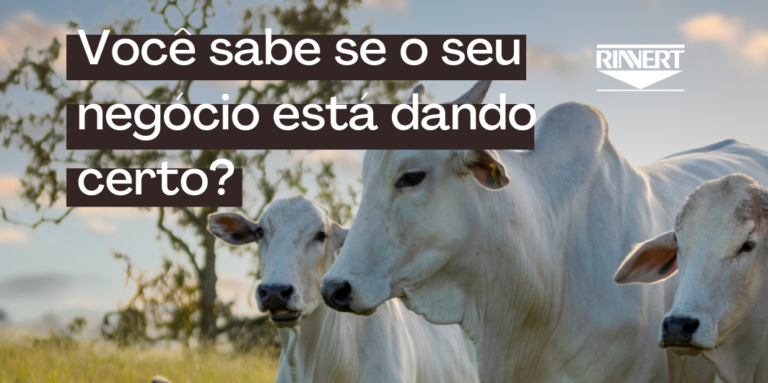 Controle de peso: A resposta para o sucesso do seu negócio!