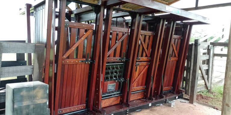 Manejo eficiente e tecnologia: detalhes que transformam a produtividade no campo