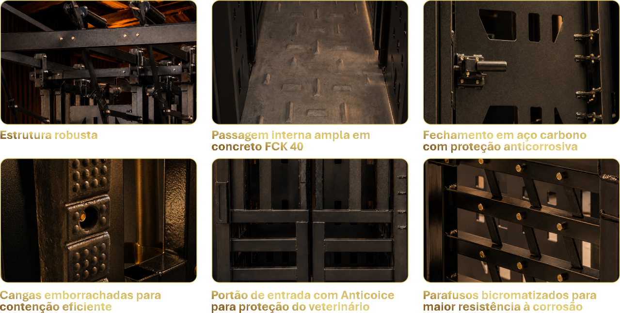 Tronco Forte Características